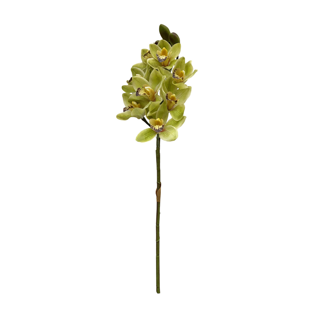 Kunstig cymbidium real touch